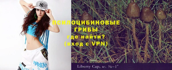 скорость Богородицк