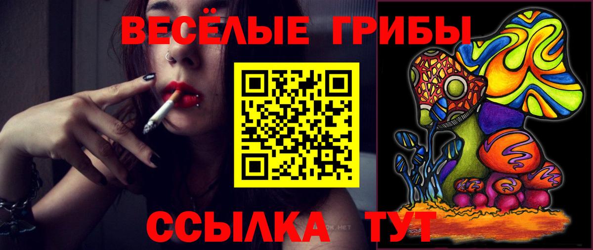 Галлюциногенные грибы Psilocybine cubensis  Вход с VPN  Псилоцибиновые грибы прущие грибы  Гатчина 