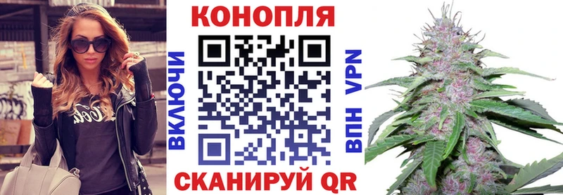 Марихуана Amnesia  Гатчина 